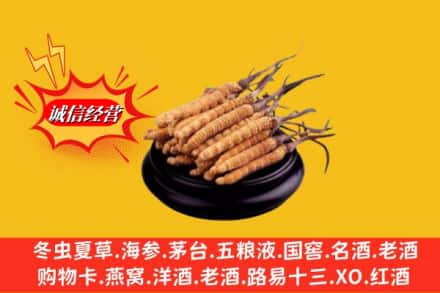 红河州建水县求购回收虫草多少钱每克